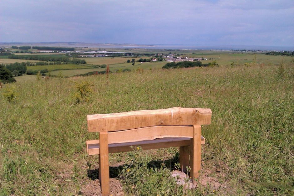 The view of Victory Wood